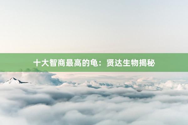 十大智商最高的龟：贤达生物揭秘