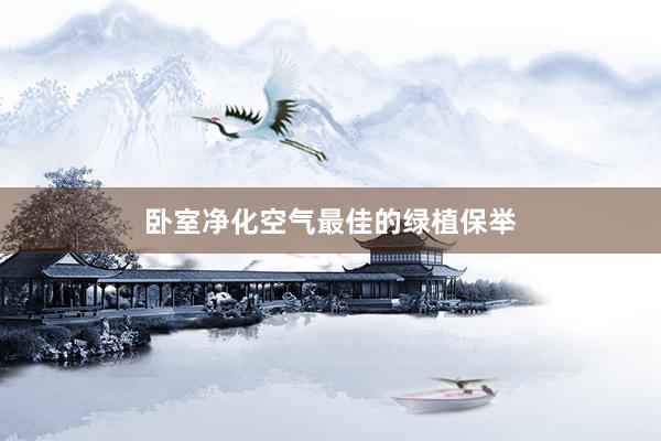 卧室净化空气最佳的绿植保举